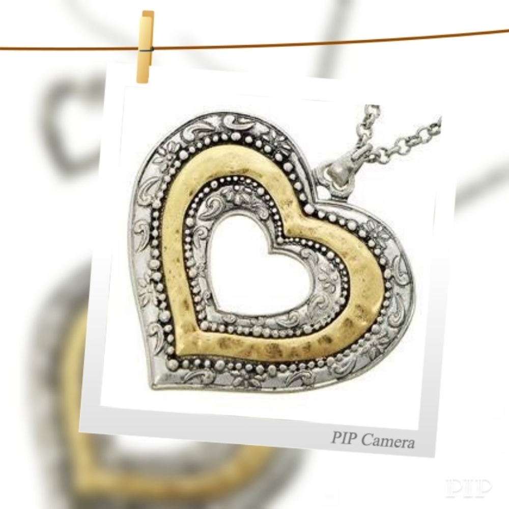 Two Tone Heart Necklace Set